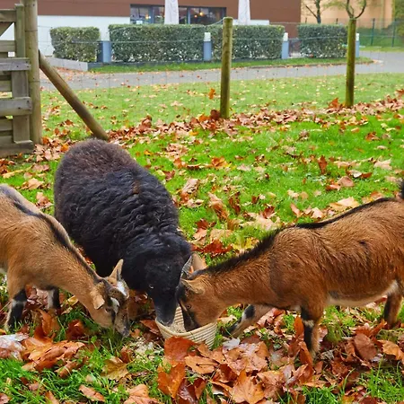Ibis Est Pontlieue فندق