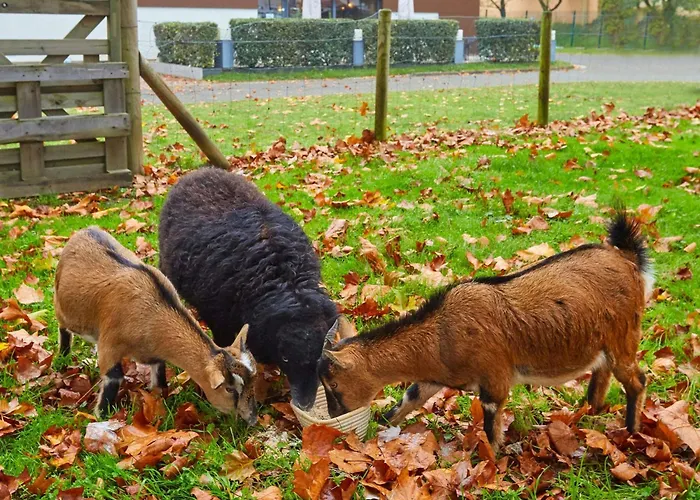 Ibis Est Pontlieue Szálloda